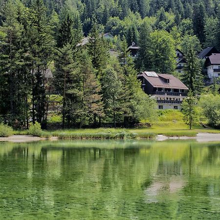 A Million Dollar View Daire Kranjska Gora Dış mekan fotoğraf
